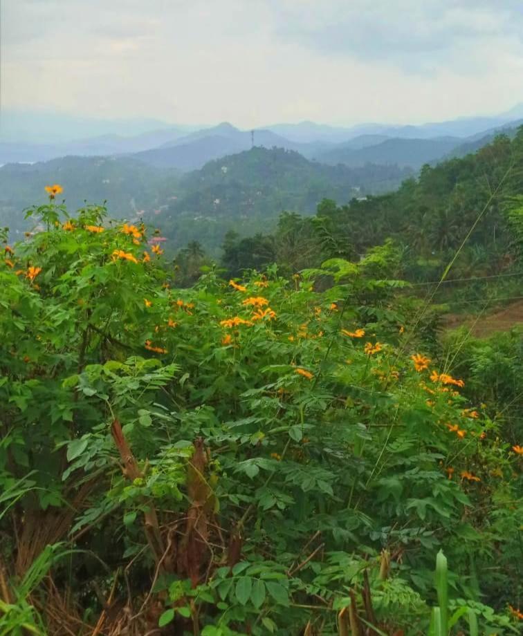 Kandy Ivy Mountain View Resort Exterior photo