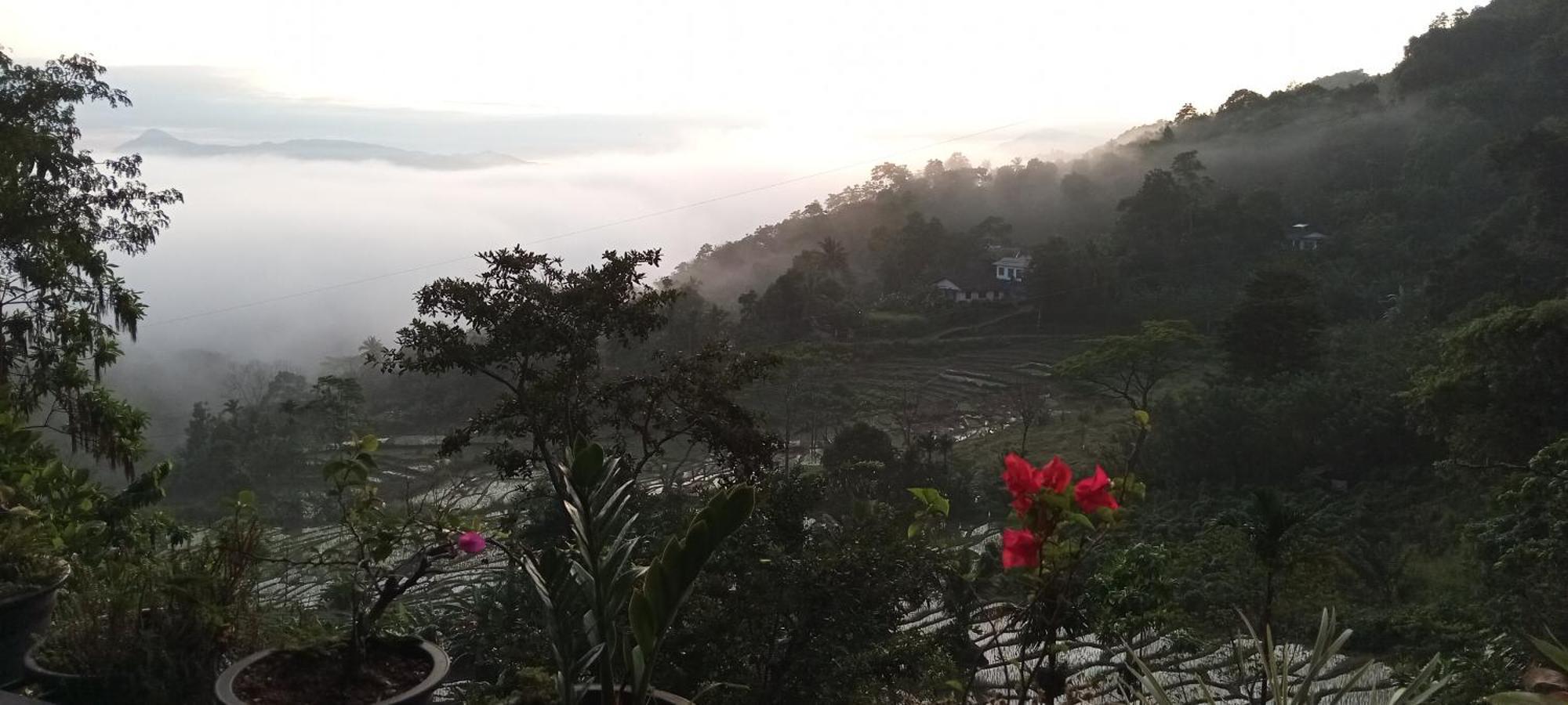 Kandy Ivy Mountain View Resort Room photo