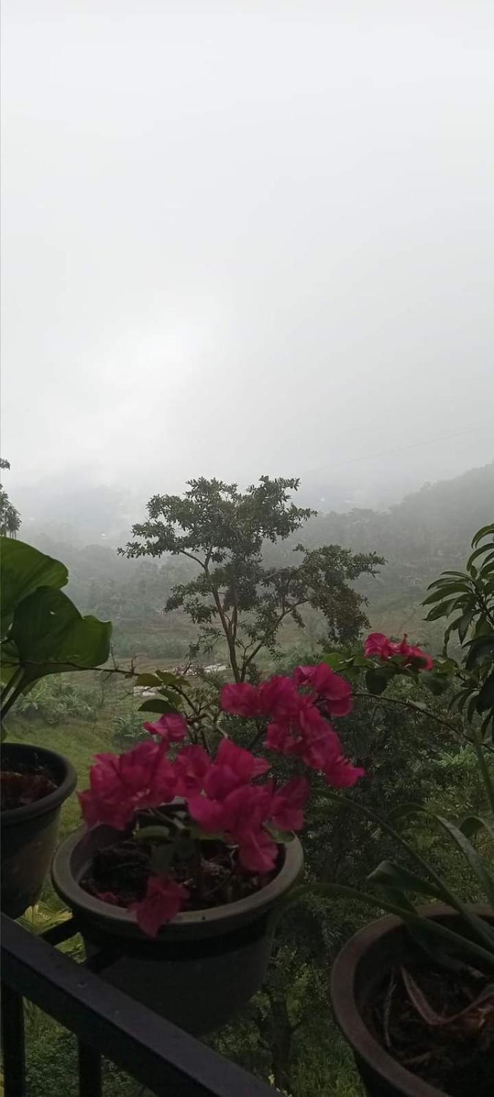 Kandy Ivy Mountain View Resort Exterior photo