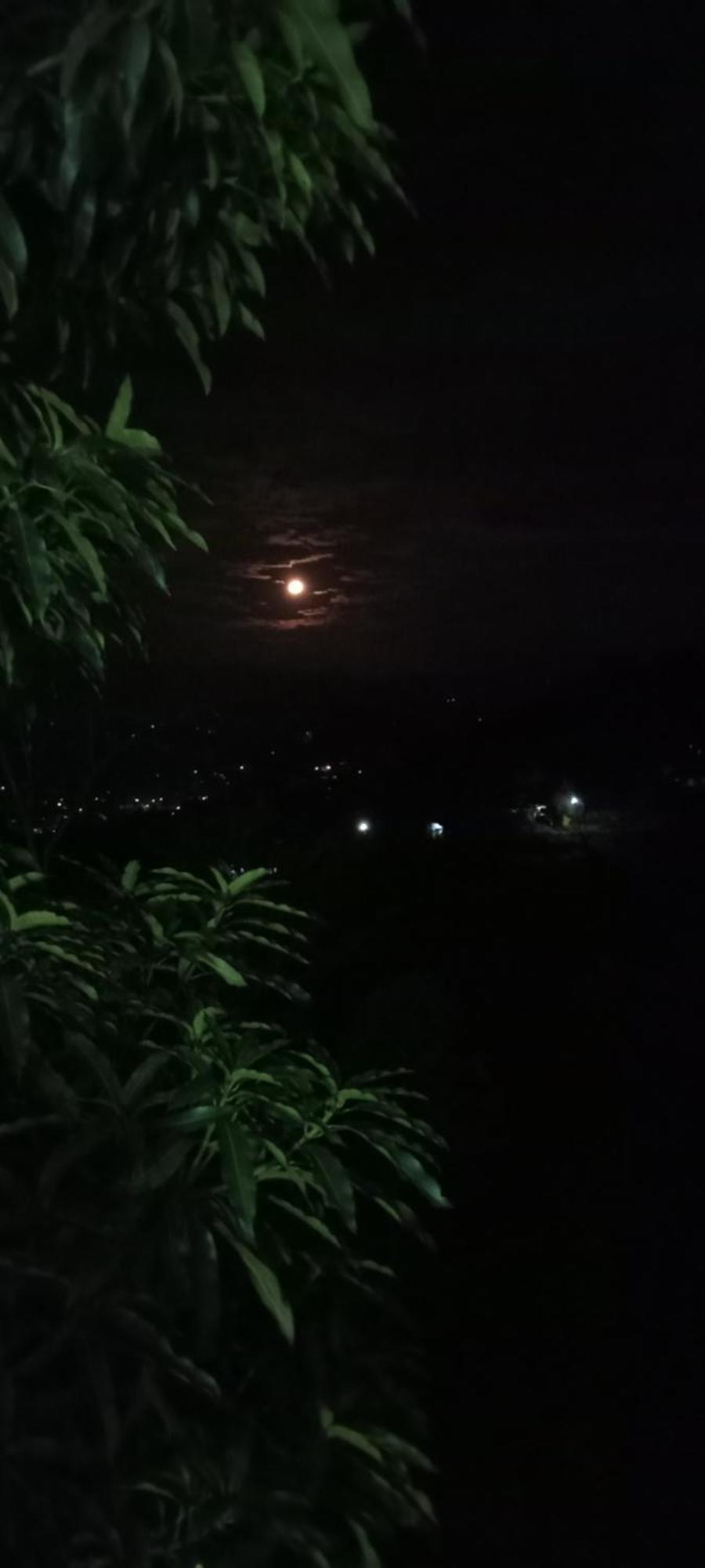 Kandy Ivy Mountain View Resort Room photo